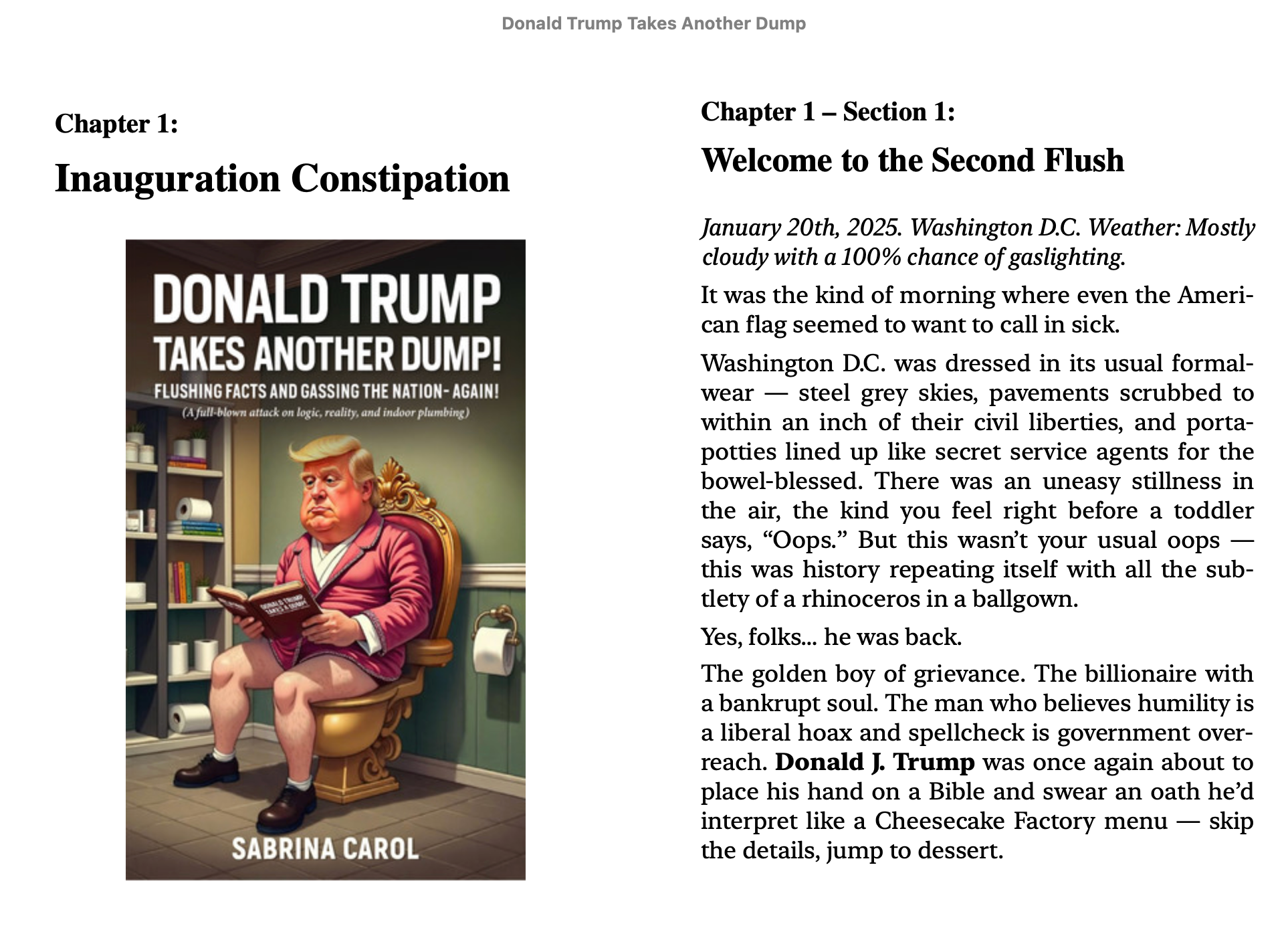 Donald Trump Takes Another Dump satire book with political humour and toilet parody artwork.
